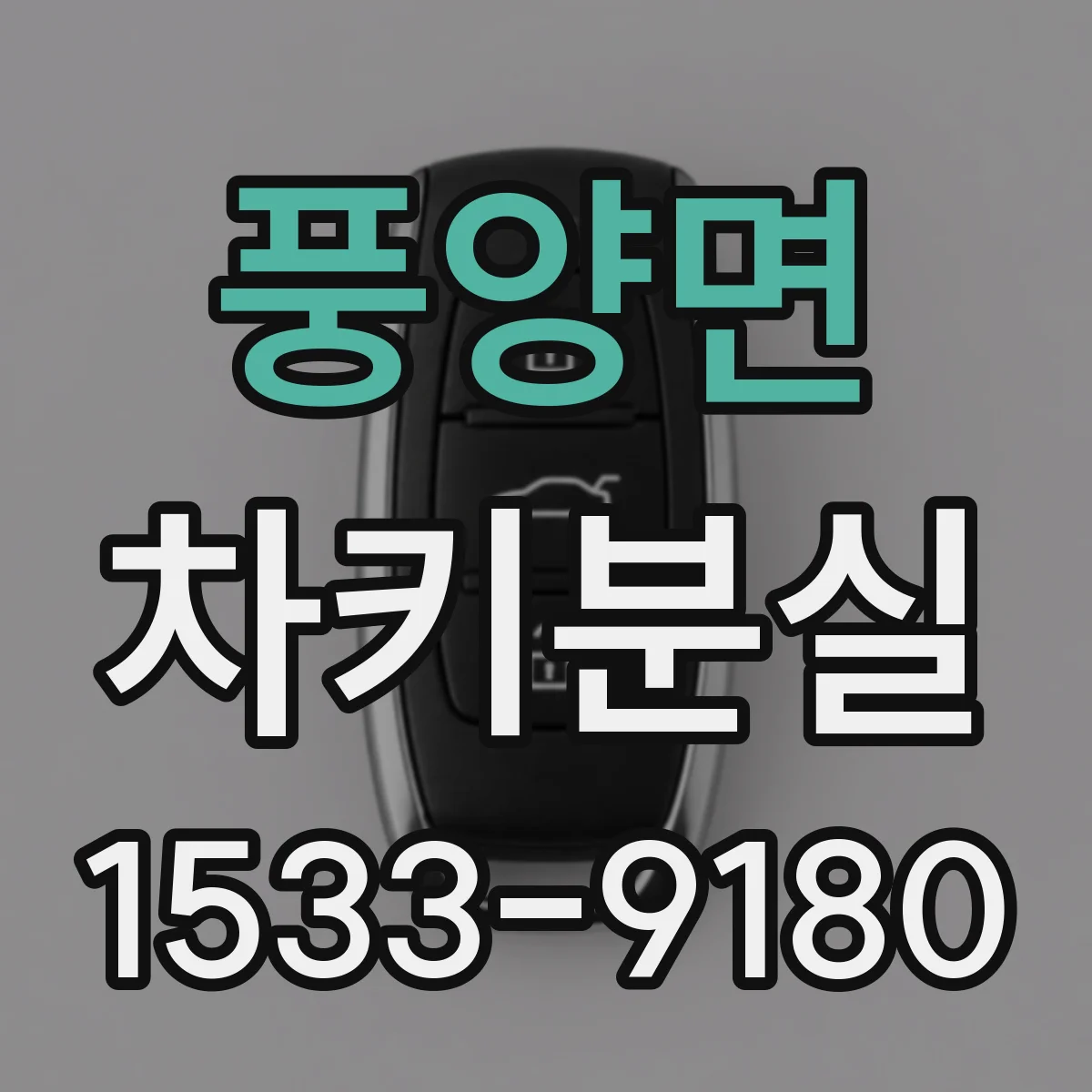 풍양면 차키분실