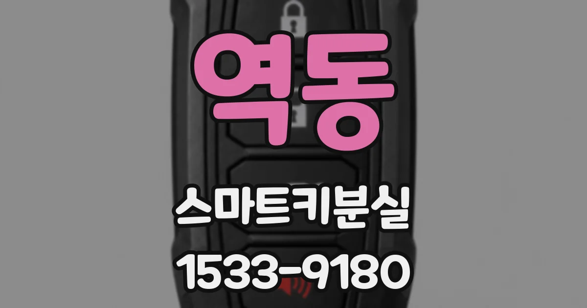 역동 스마트키분실
