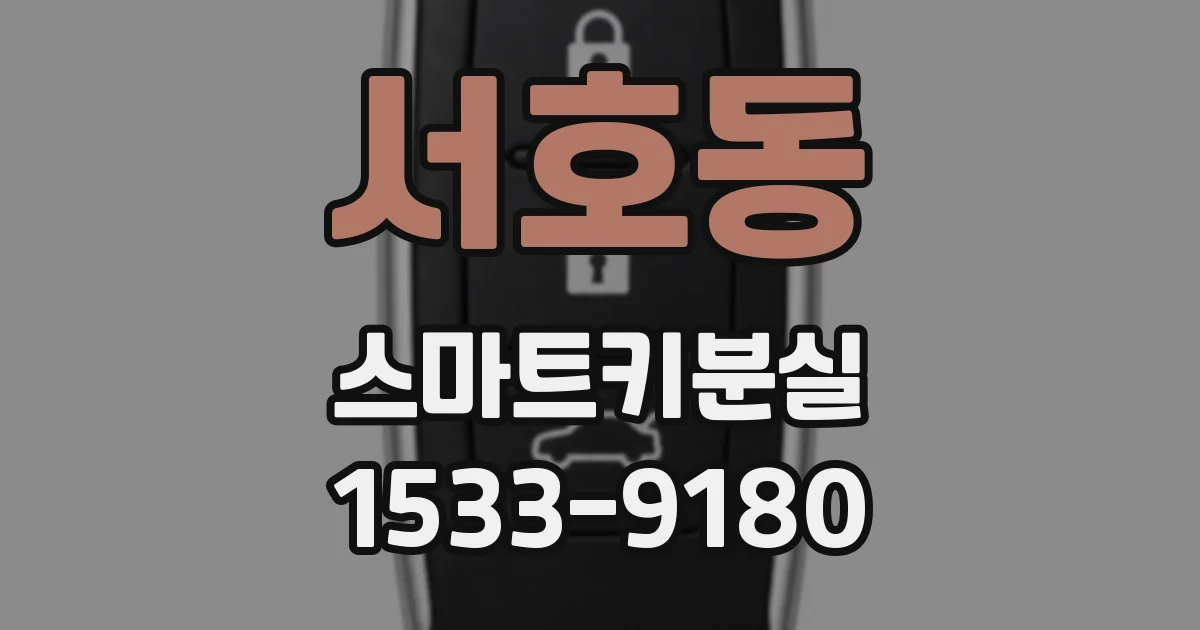 서호동 스마트키분실