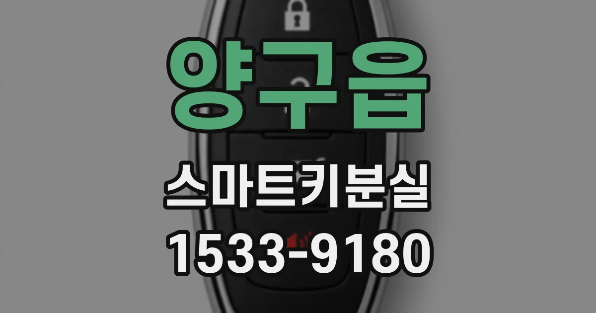 양구읍 스마트키분실