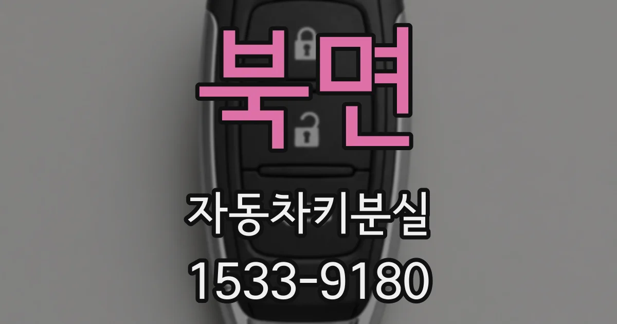북면 자동차키분실