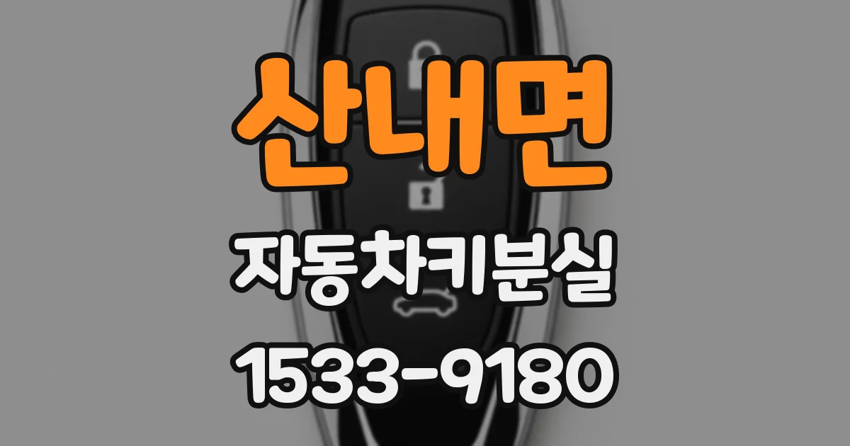 산내면 자동차키분실