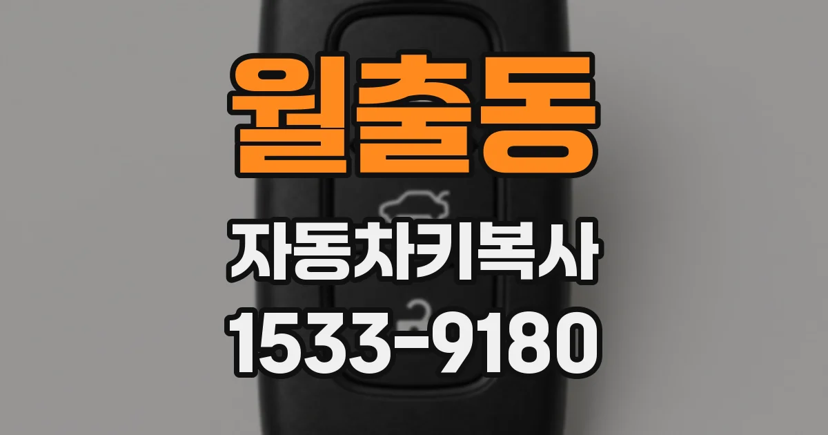월출동 자동차키복사