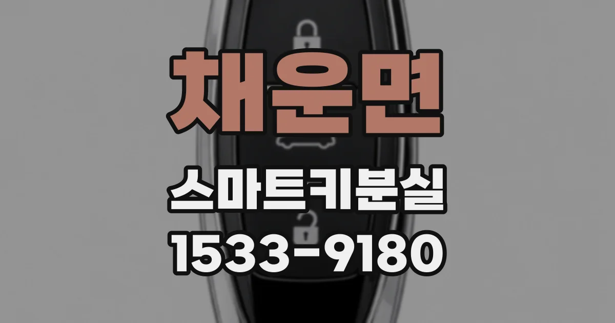 채운면 스마트키분실