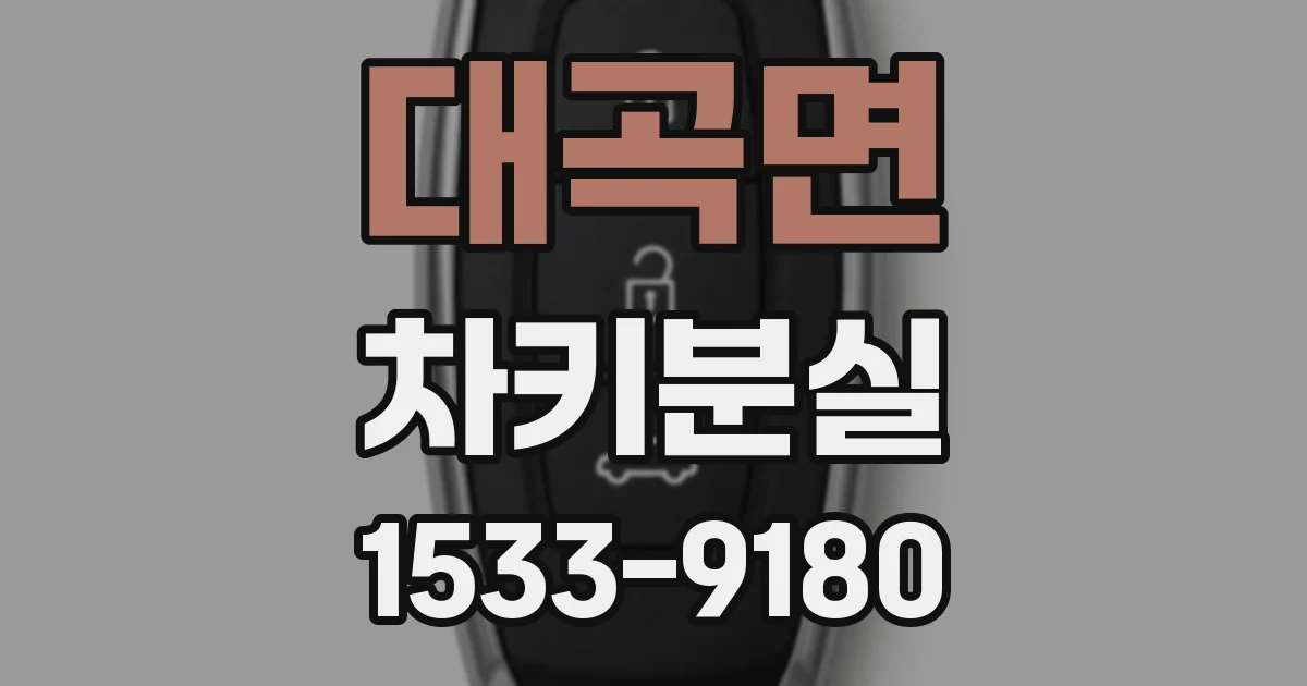 대곡면 차키분실