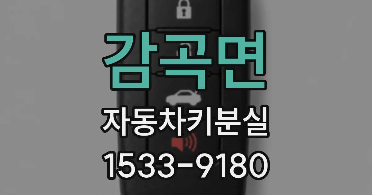 감곡면 자동차키분실