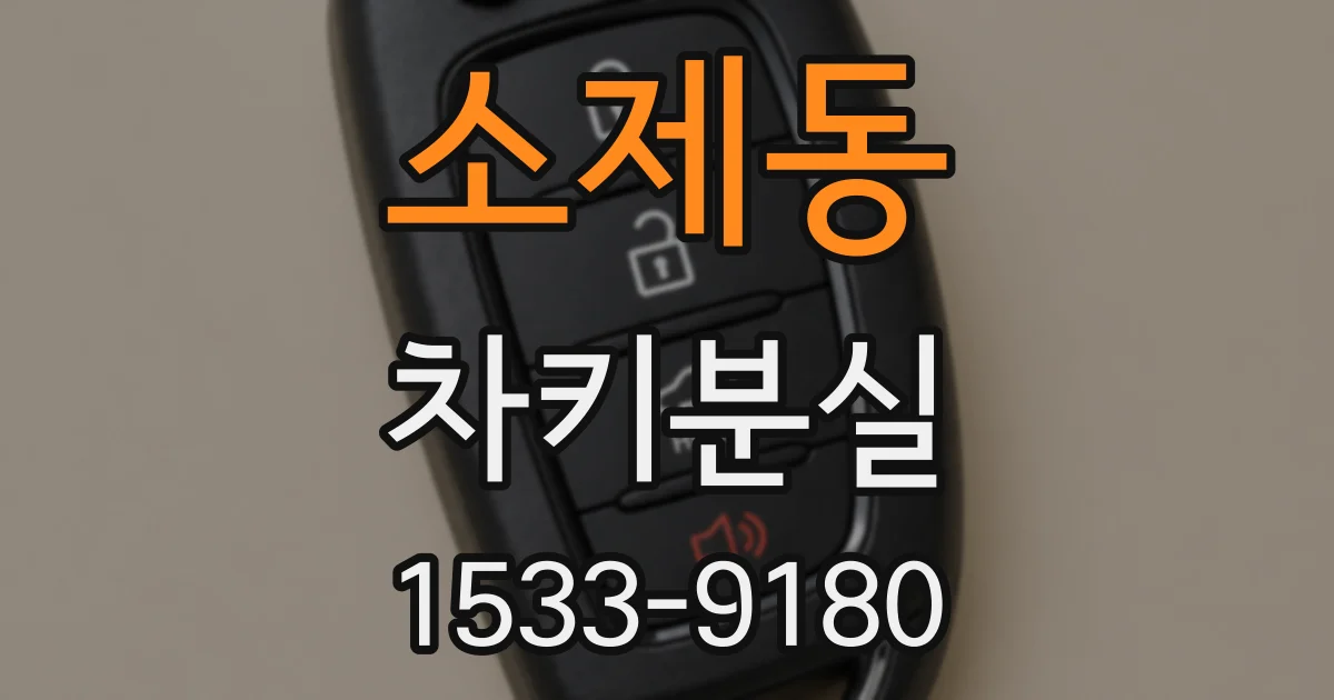 소제동 차키분실
