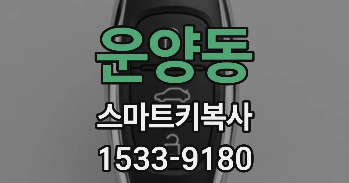 운양동 스마트키복사