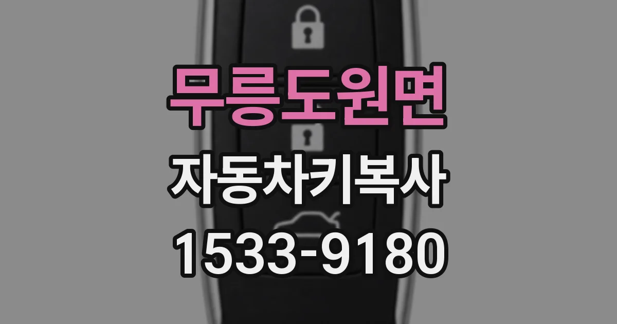 무릉도원면 자동차키복사