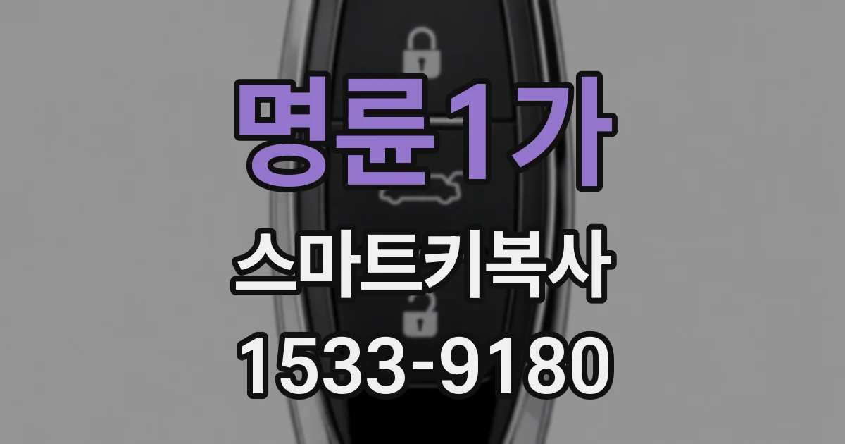 명륜1가 스마트키복사