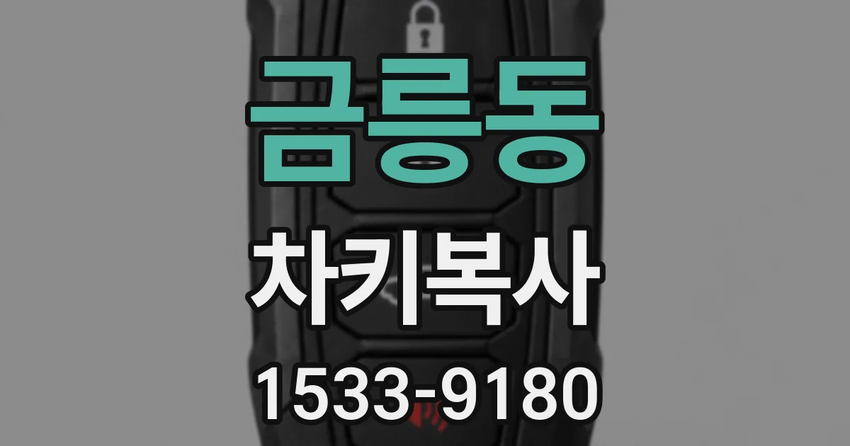 금릉동 차키복사