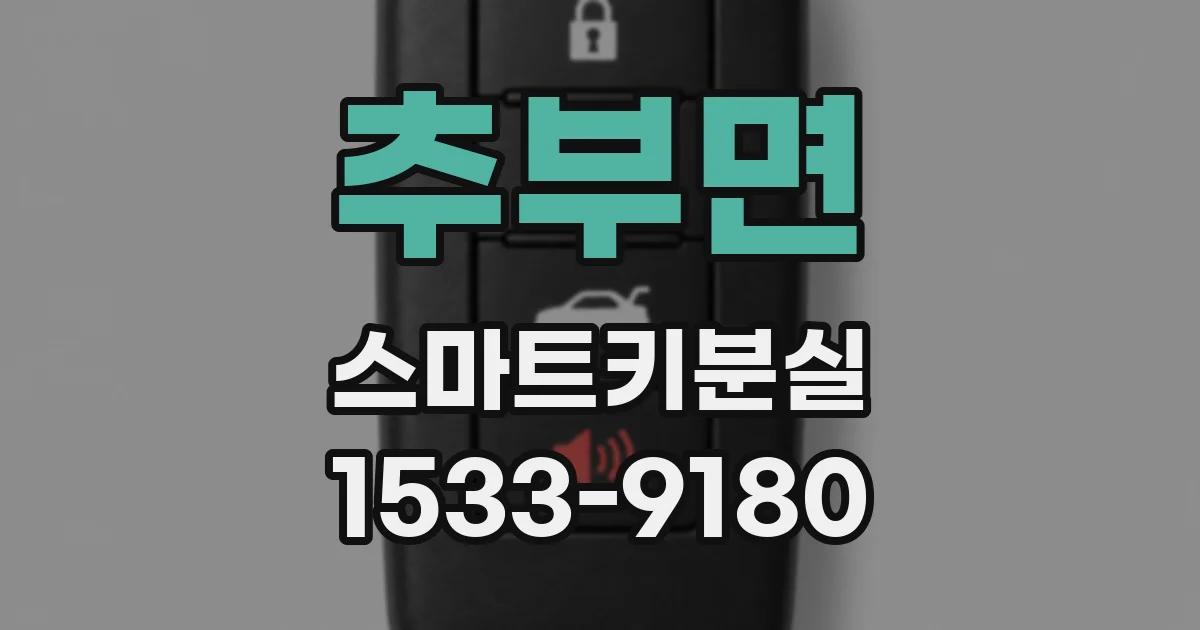 추부면 스마트키분실