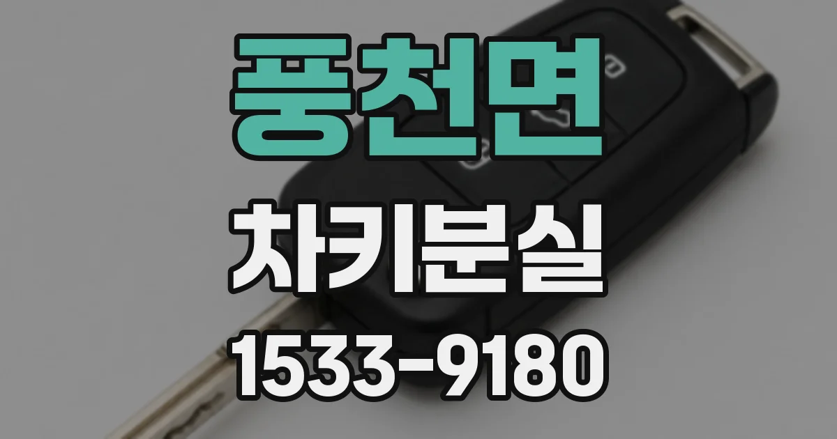 풍천면 차키분실
