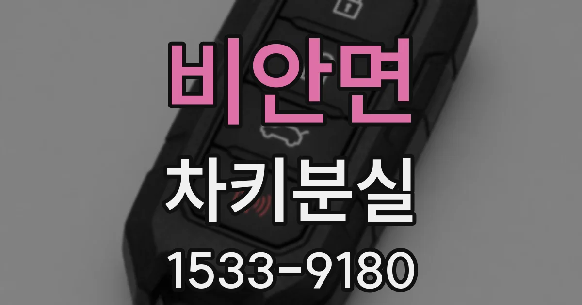비안면 차키분실
