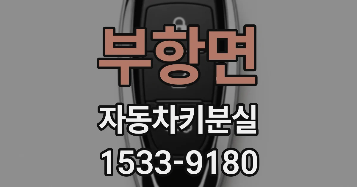 부항면 자동차키분실