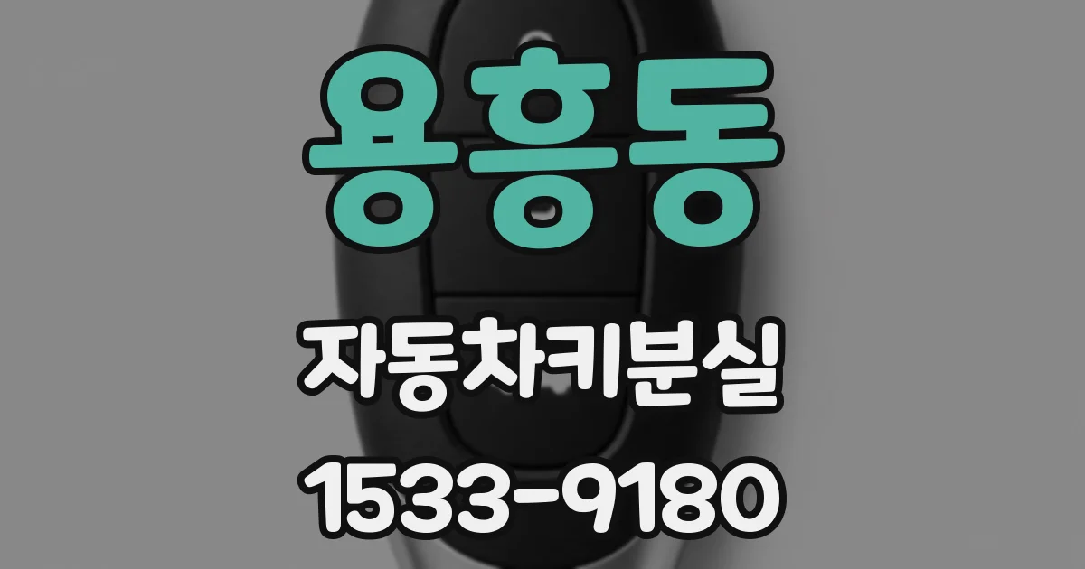 용흥동 자동차키분실