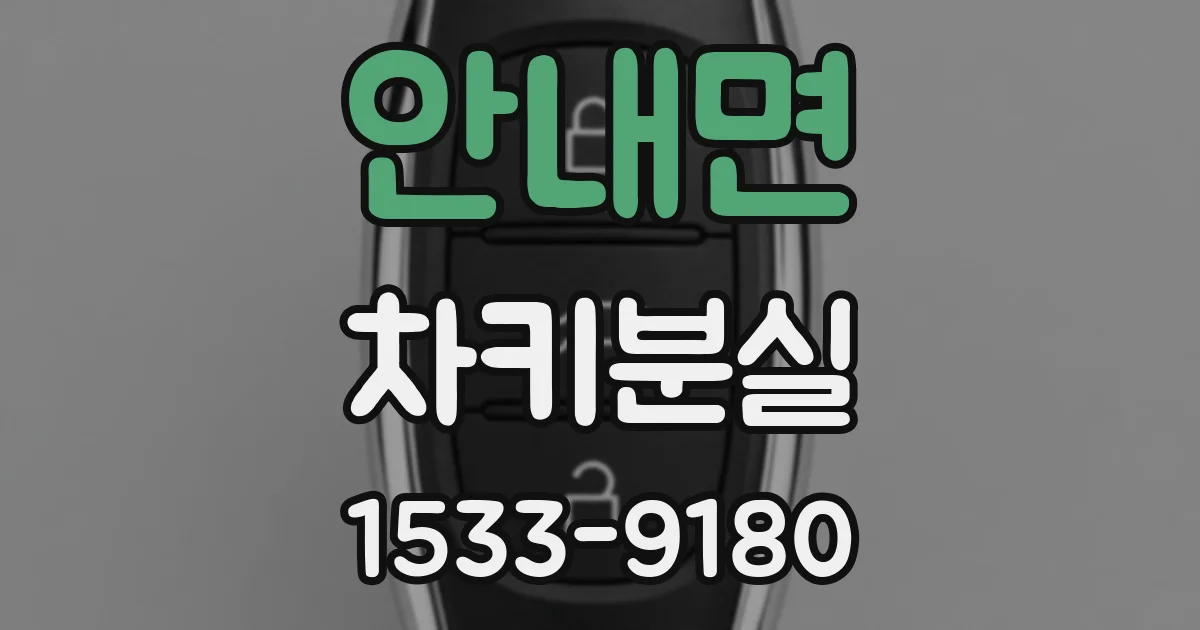 안내면 차키분실