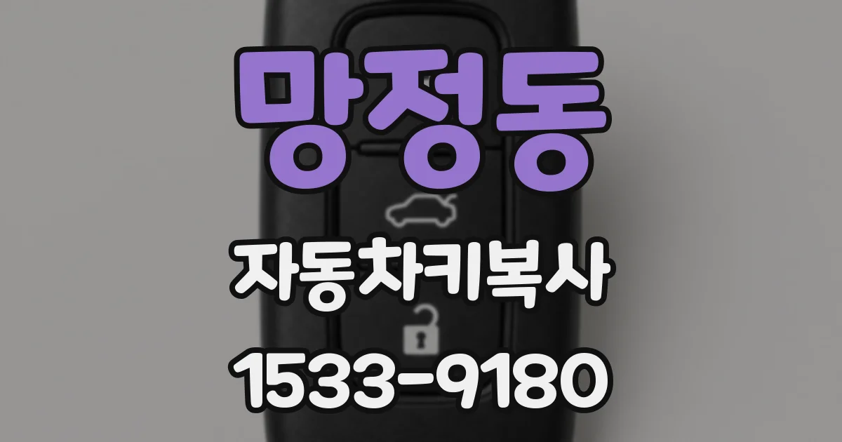 망정동 자동차키복사