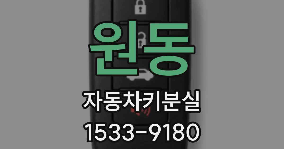 원동 자동차키분실