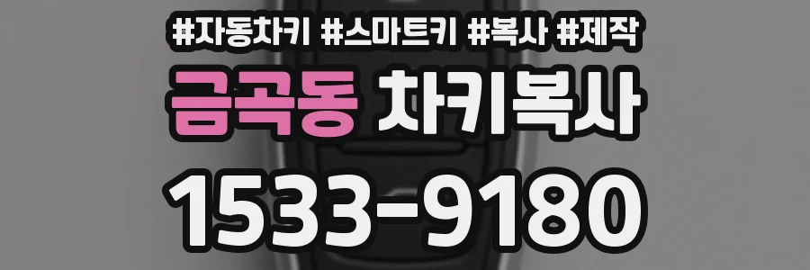 금곡동 차키복사