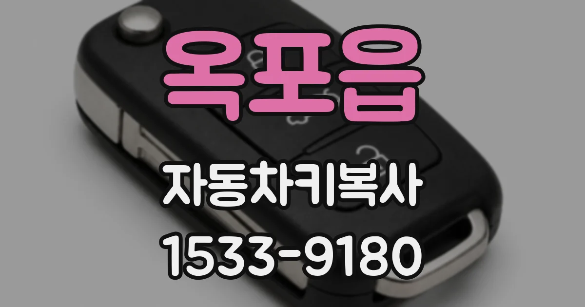 옥포읍 자동차키복사