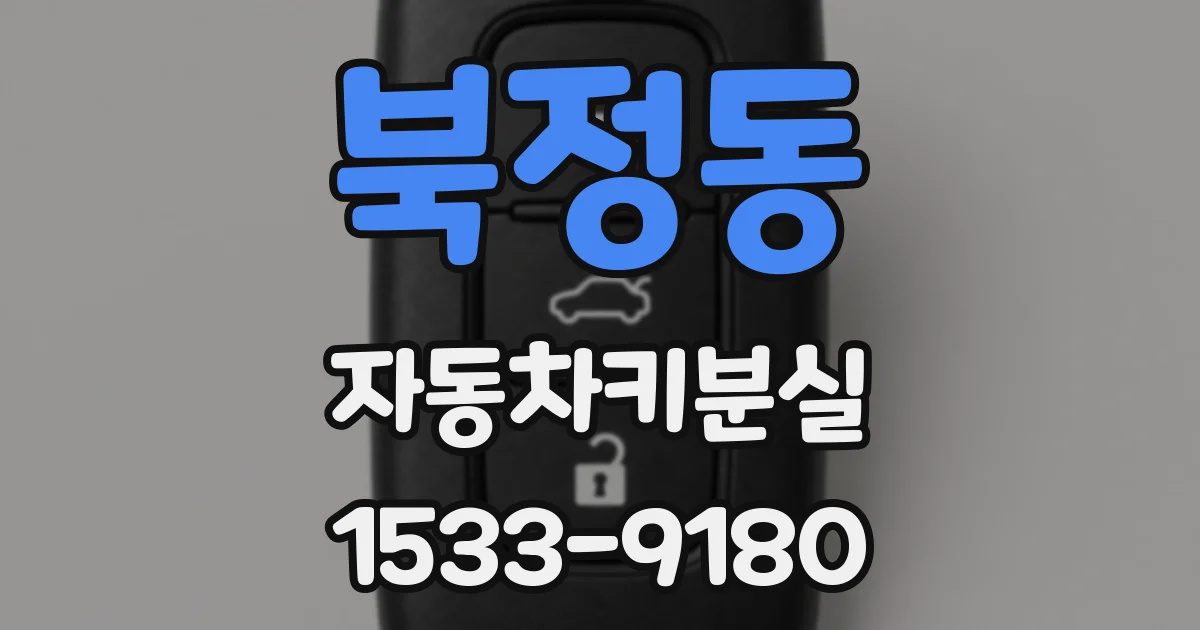 북정동 자동차키분실