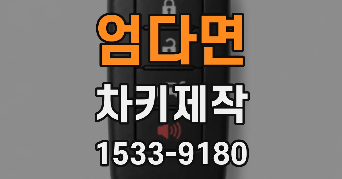 엄다면 차키제작