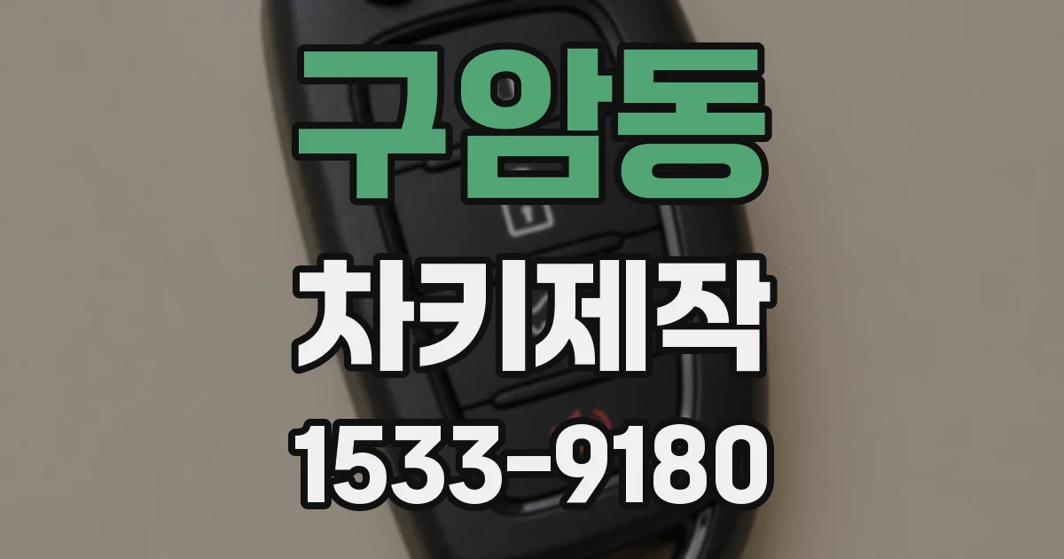 구암동 차키제작