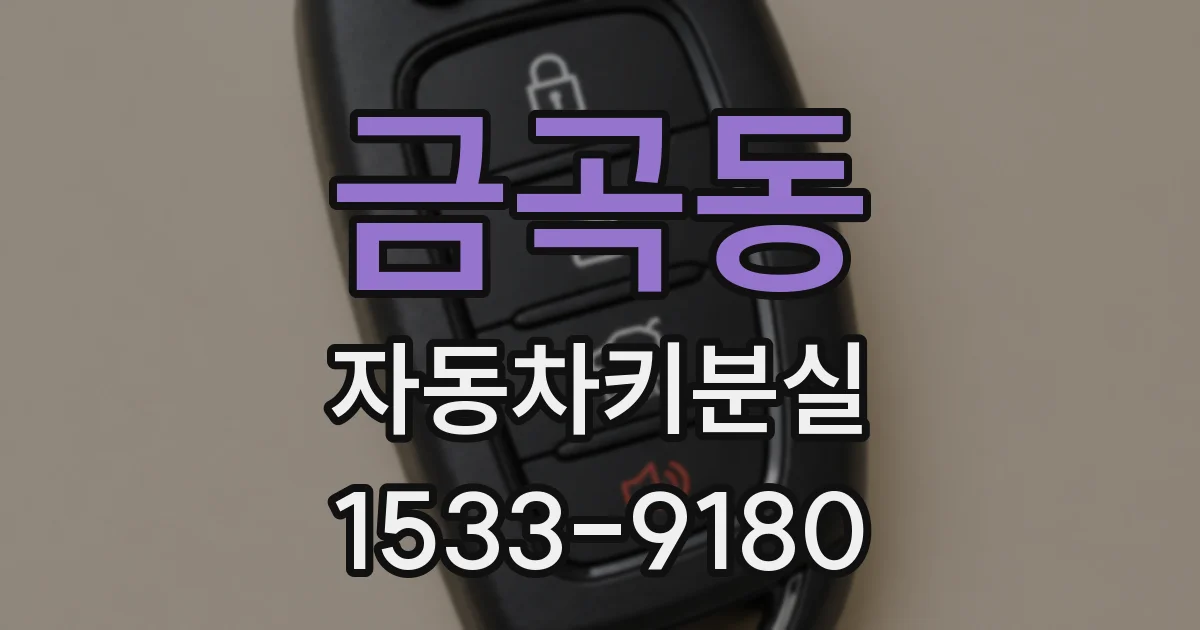 금곡동 자동차키분실