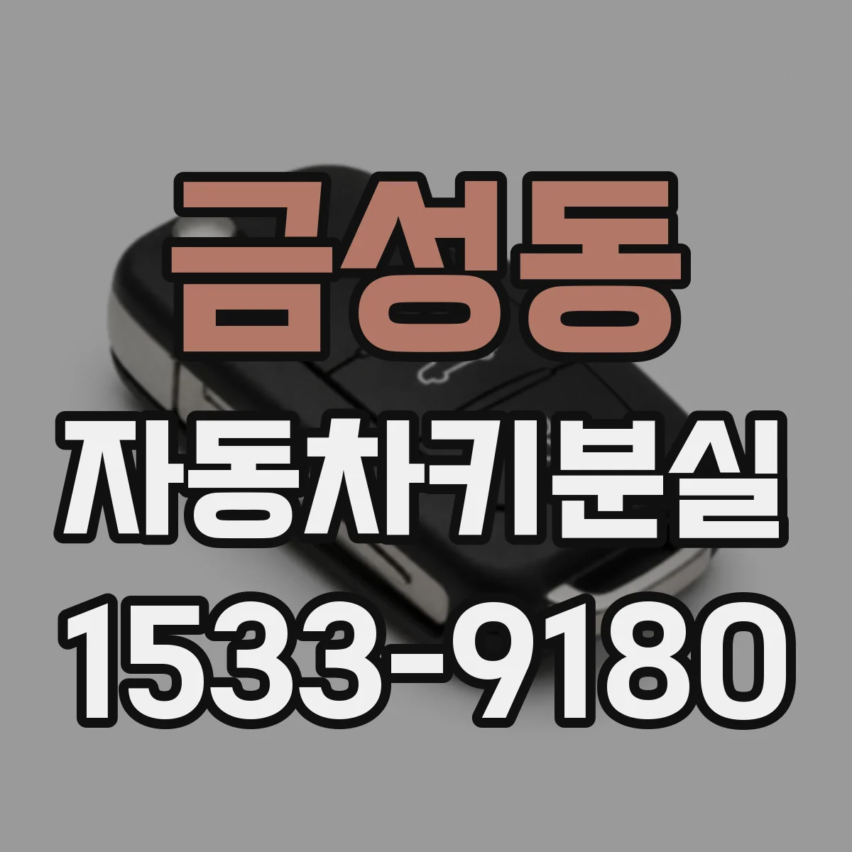 금성동 자동차키분실