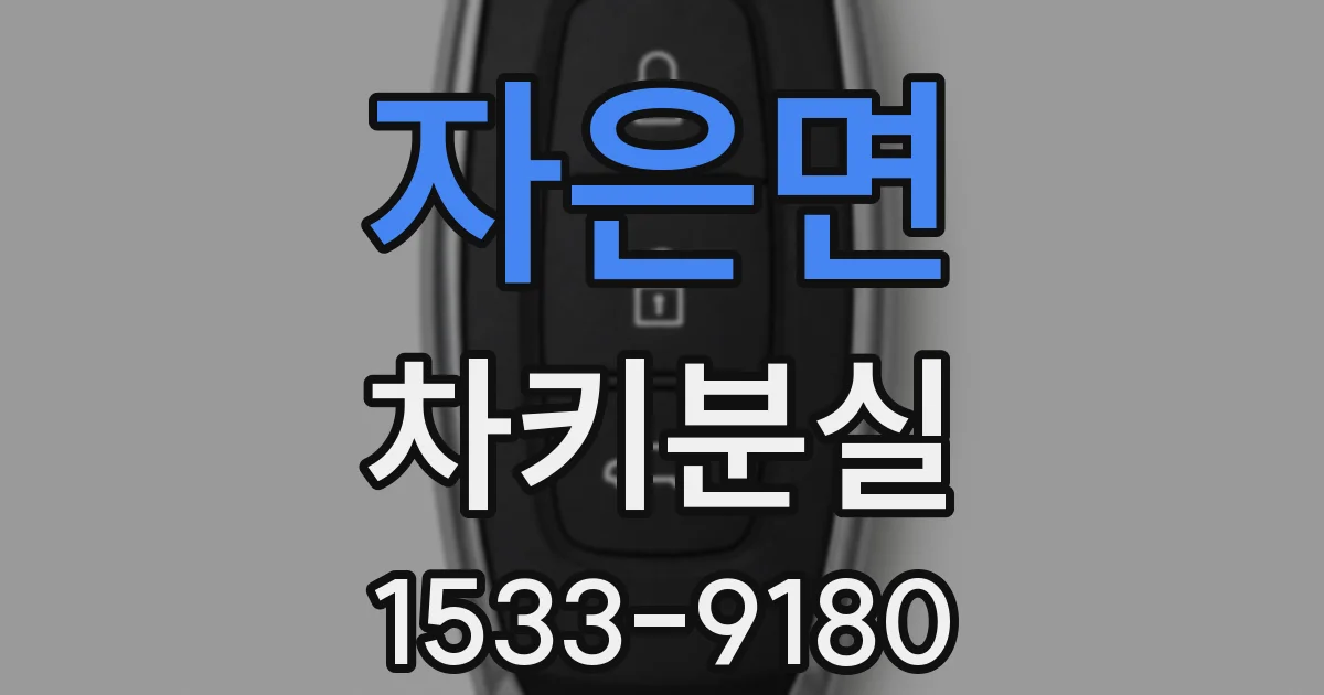 자은면 차키분실