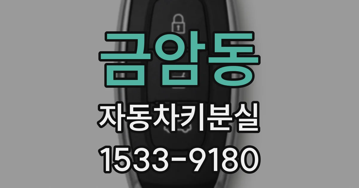 금암동 자동차키분실