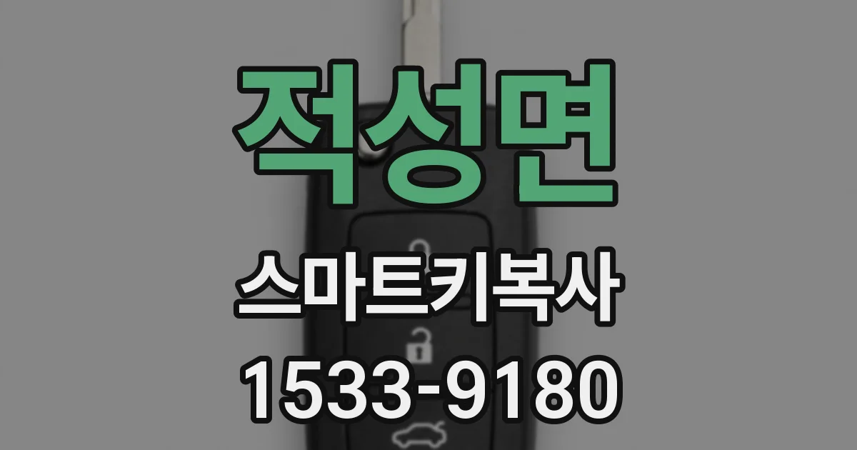 적성면 스마트키복사