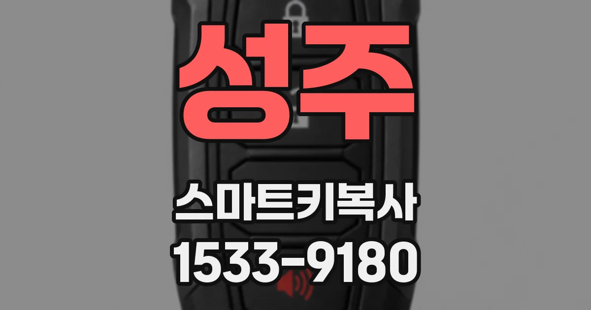 성주 스마트키복사