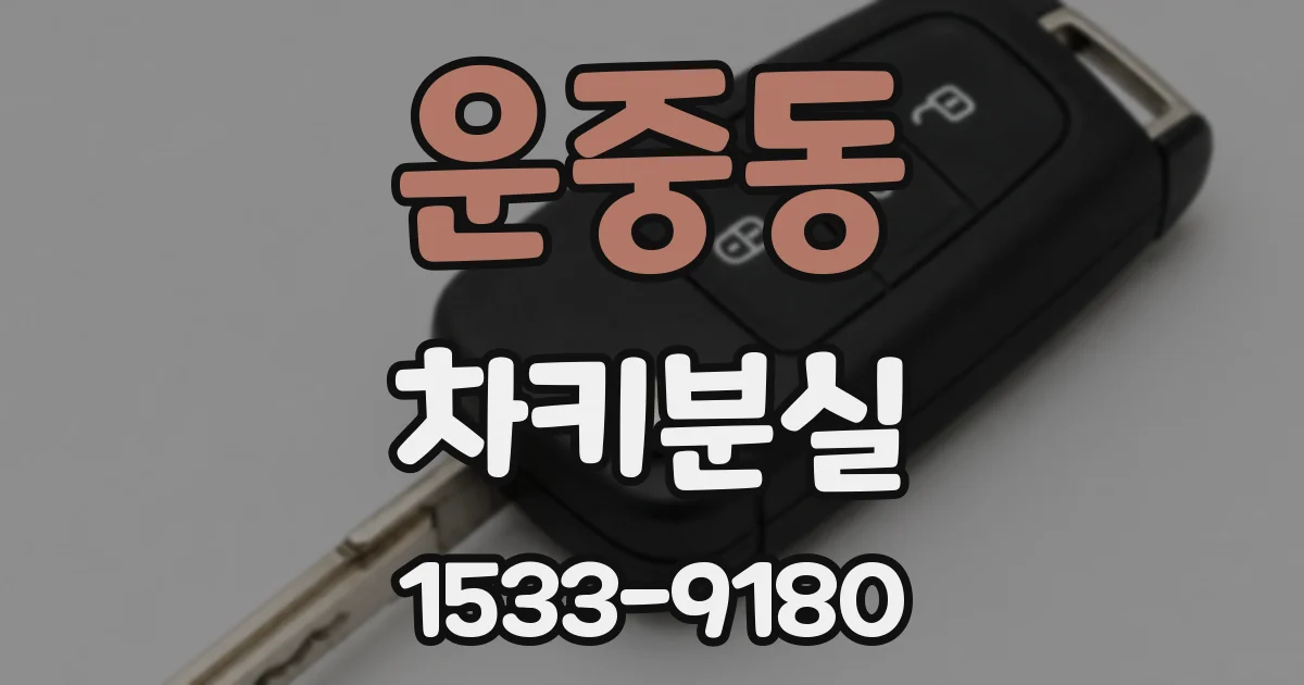 운중동 차키분실