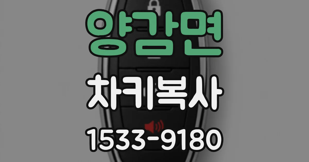 양감면 차키복사