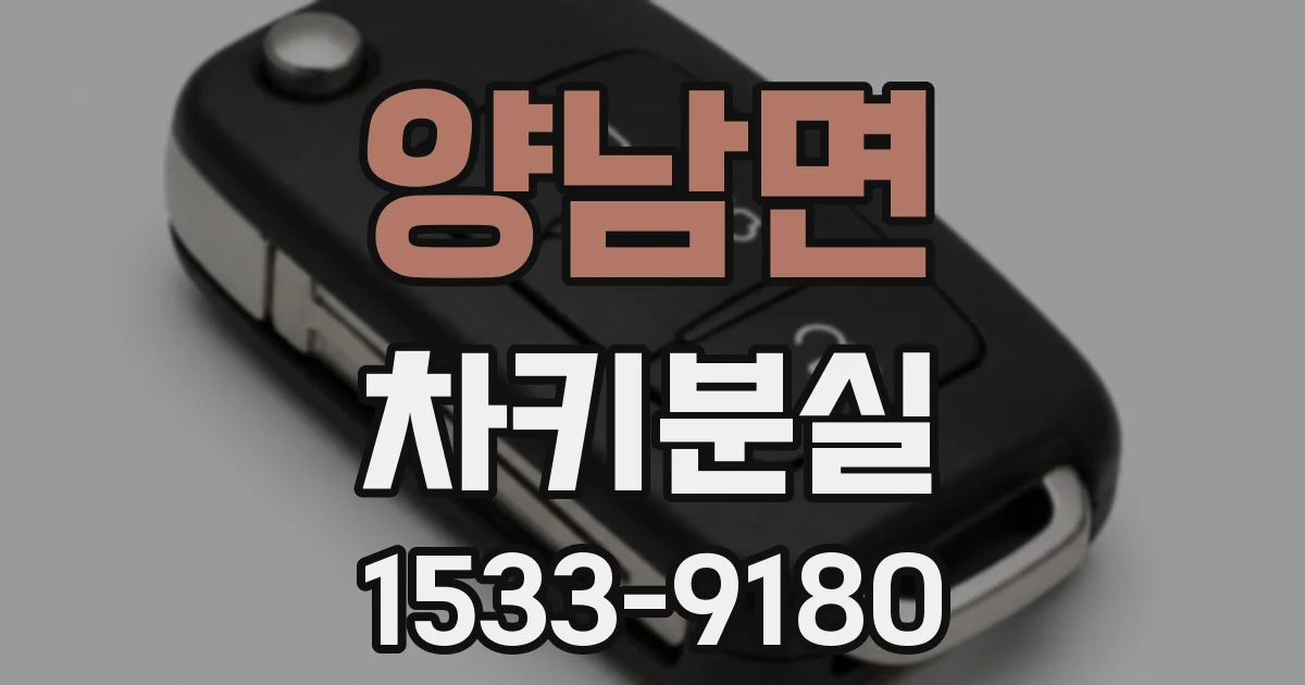 양남면 차키분실