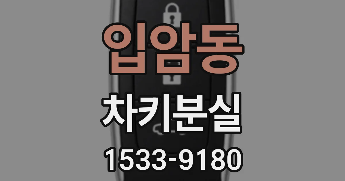 입암동 차키분실