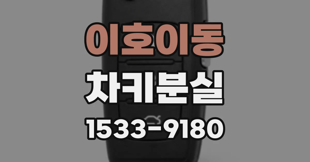 이호이동 차키분실