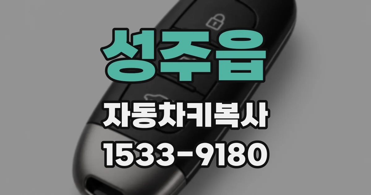 성주읍 자동차키복사