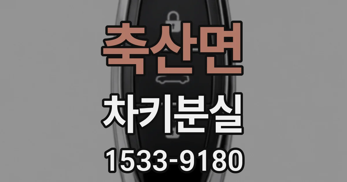 축산면 차키분실