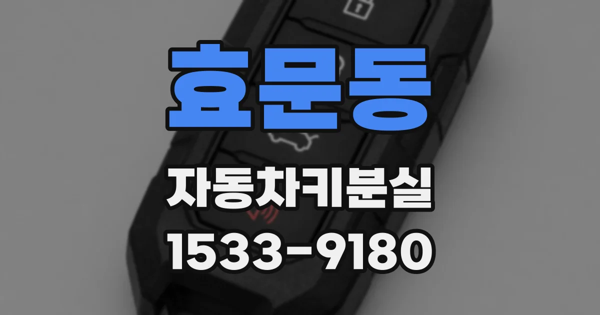효문동 자동차키분실