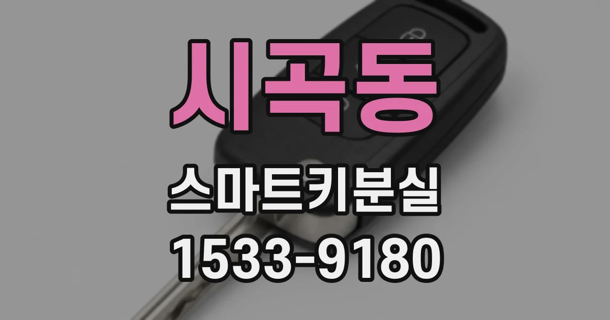 시곡동 스마트키분실