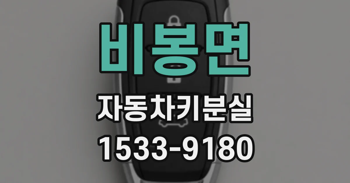 비봉면 자동차키분실