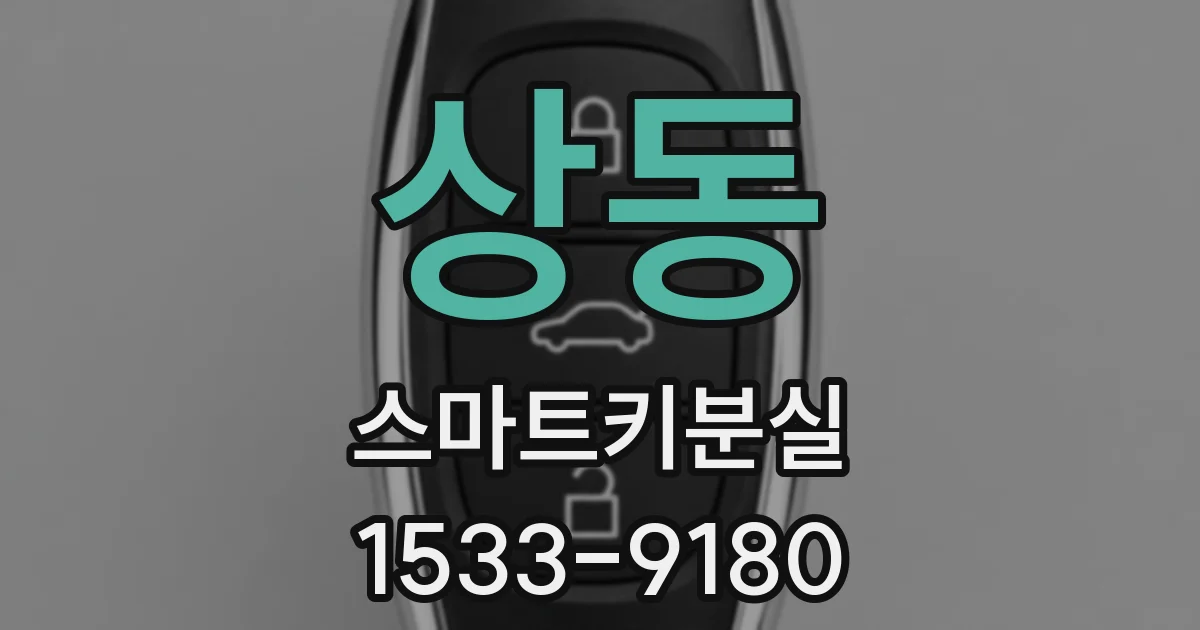 상동 스마트키분실