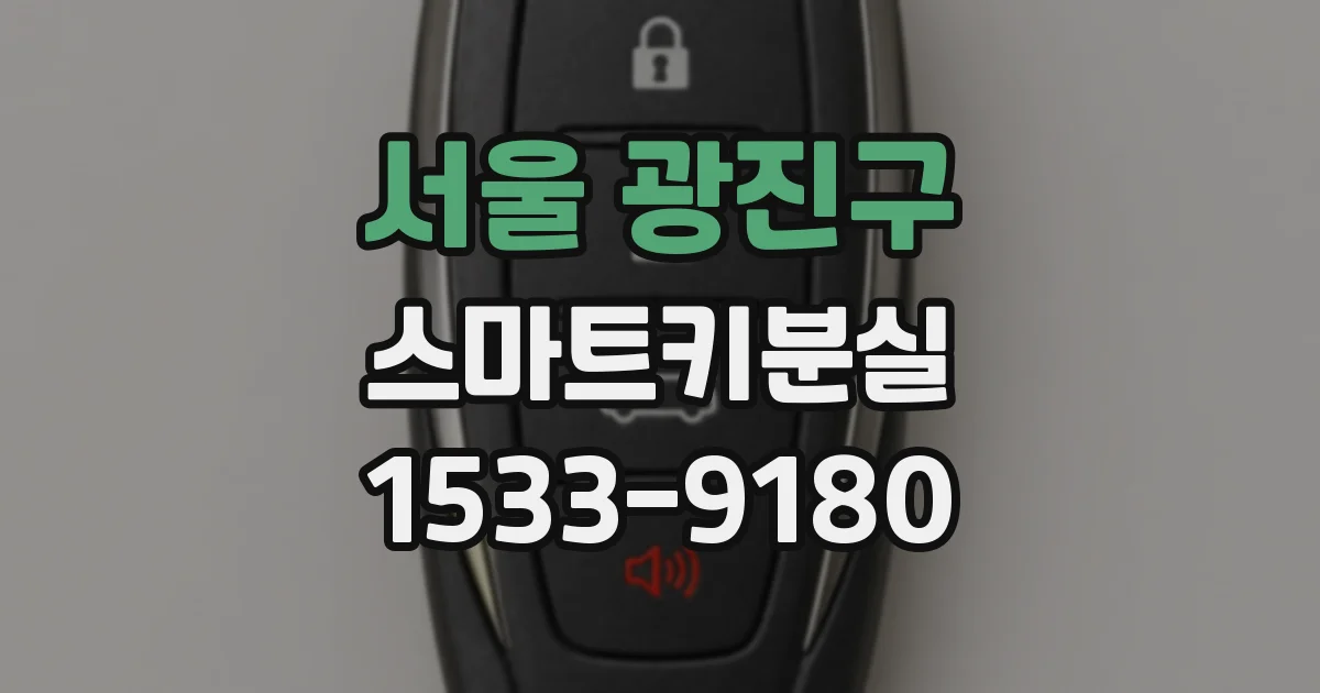 서울 광진구 스마트키분실