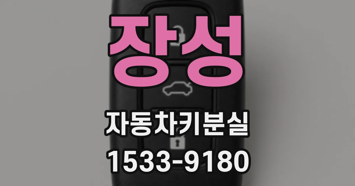 장성 자동차키분실