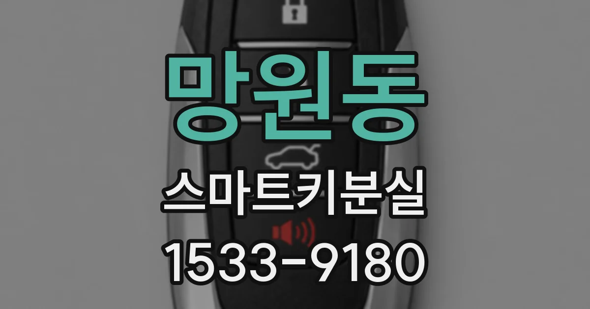 망원동 스마트키분실