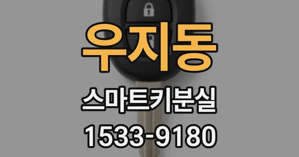 우지동 스마트키분실