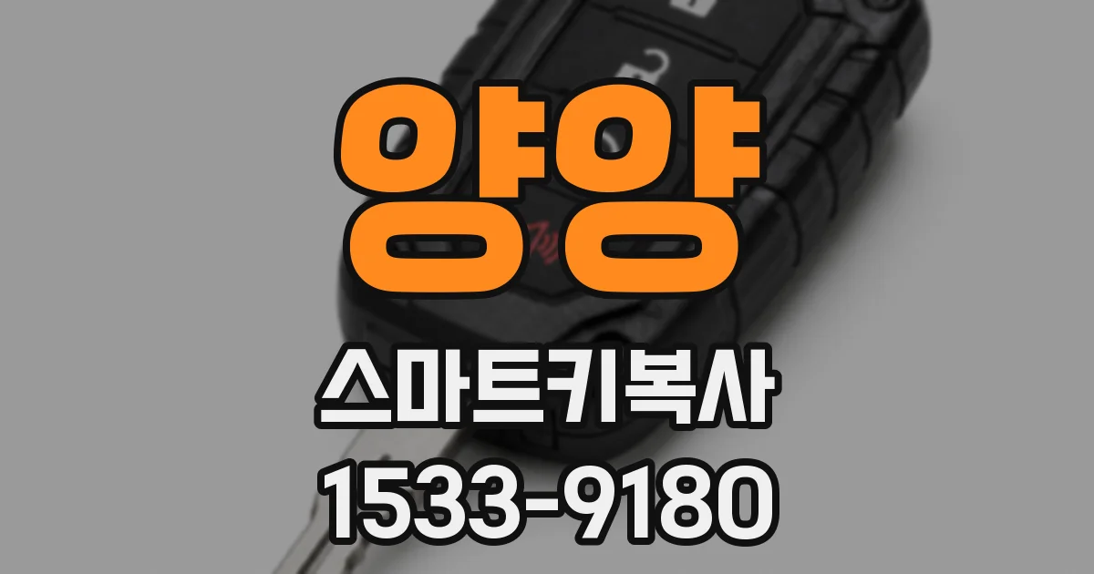양양 스마트키복사